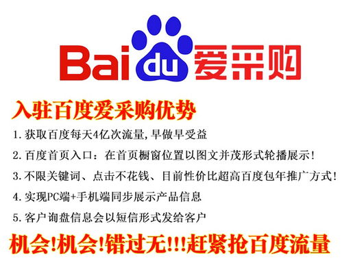 濟(jì)南鴻利達(dá)信息科技 專(zhuān)業(yè)賦能，讓網(wǎng)絡(luò)推廣變得更輕松